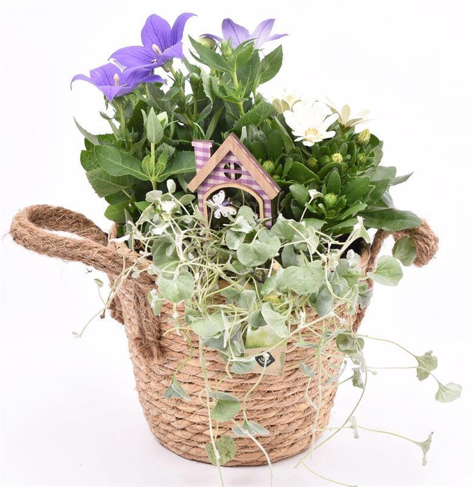 <h4>Touwmand met oren Dia 18</h4>