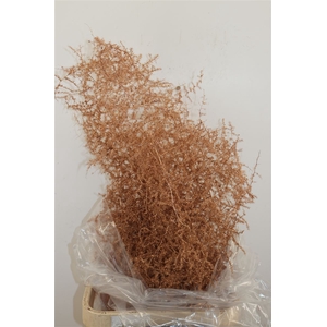 Sprengerie Wild Antiek Goud