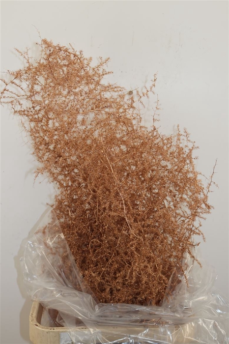 <h4>Sprengerie Wild Antiek Goud</h4>