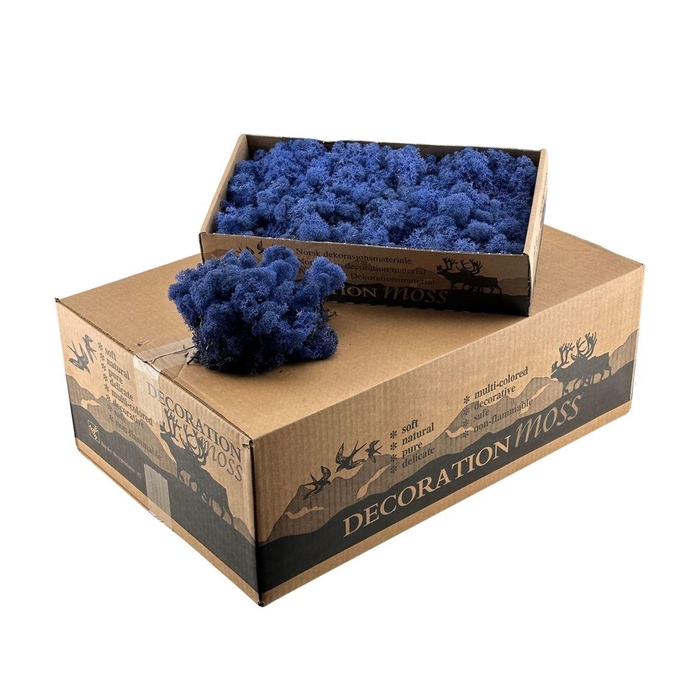 <h4>Ijslandsmos Royal Blue</h4>