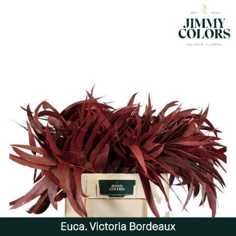 <h4>Victoriablad Gekleurd Klbh. Bordeaux</h4>