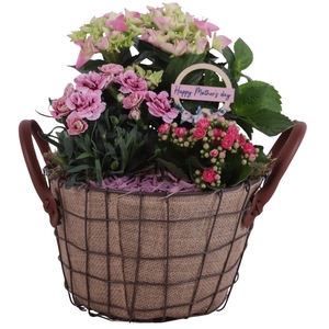 Mothersday Arr. Outdoor Metal Wire Basket Jute Ø24cm 3PP