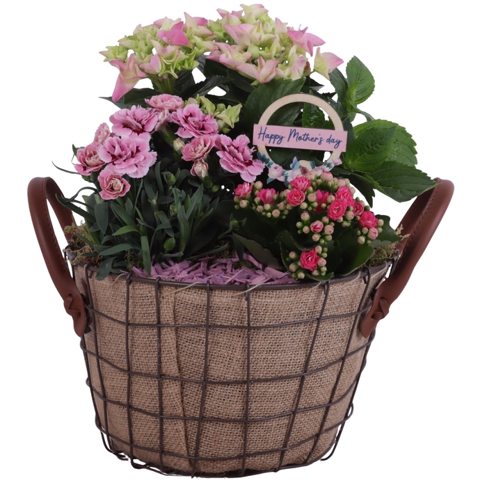 <h4>Mothersday Arr. Outdoor Metal Wire Basket Jute Ø24cm 3PP</h4>