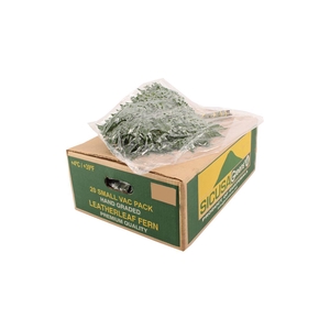 Lederv. Small V P X 5