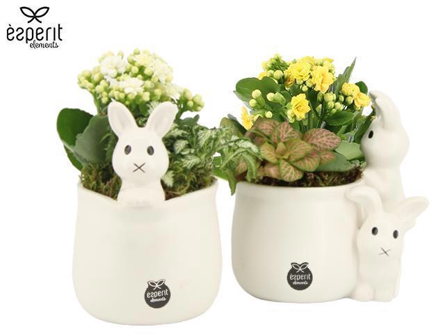 <h4>70986: Easter arrangement</h4>