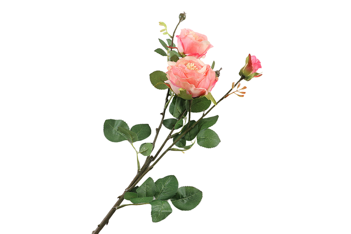 Rosa Pink