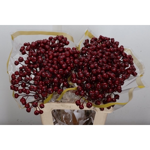 Snijgroen Snijbloemen Klb H