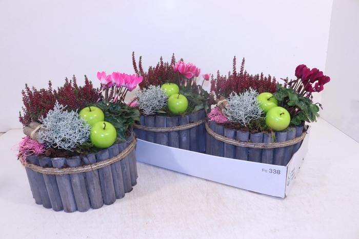 <h4>ARR TUINPLANTEN</h4>