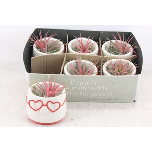 arr3 CP - Love dude glasses x6