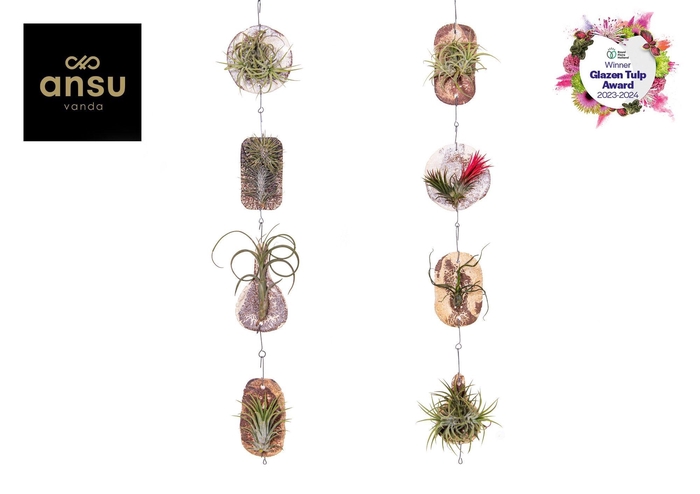 <h4>Tilly Tiles</h4>