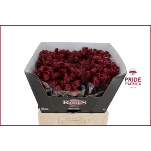 R GR GEWAXT WAX Tros Bordeaux L60