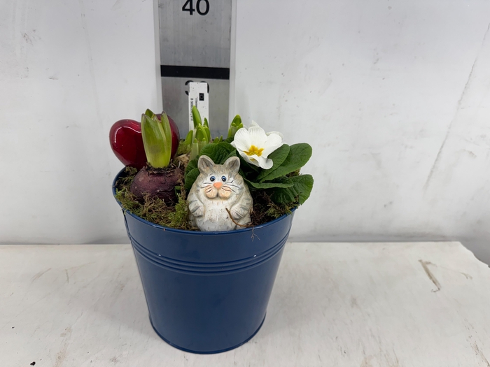 <h4>ARR PL IN SCHAAL</h4>