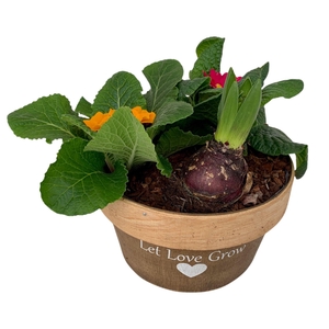 Love Rond Hout 2x prim 1x hys 541