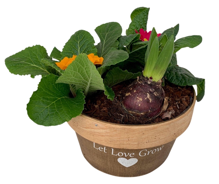 <h4>Love Rond Hout 2x prim 1x hys 541</h4>