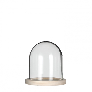 Glass Cloche+wood d12*13cm