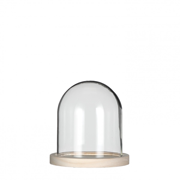 <h4>Glass Cloche+wood d12*13cm</h4>