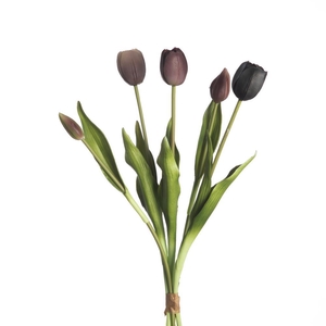 AF Tulip Bundle x5 L43cm Mix M