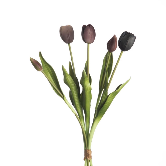 <h4>AF Tulip Bundle x5 L43cm Mix M</h4>