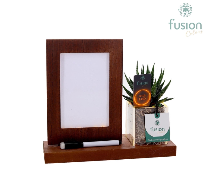 <h4>Acryl LED Glow Art Frame met Succulent</h4>