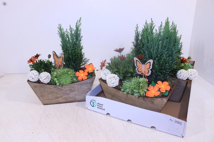 <h4>ARR TUINPLANTEN</h4>