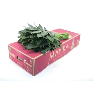 Aralia Super X25