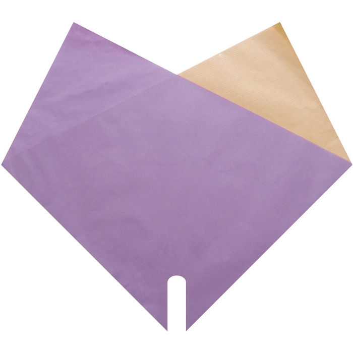 <h4>Hoezen Double Kraft 35*35cm x50</h4>