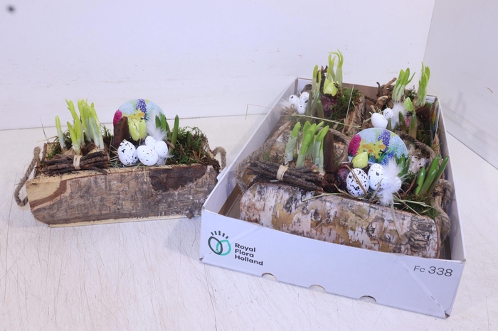 <h4>ARR BOL KNOLGEWAS</h4>