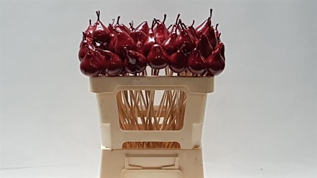 <h4>WAX PEER OP STOK H%</h4>