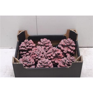 F-pinea Glitters Kerst Rood