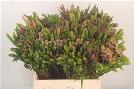 <h4>Erica Bqt Cone Mix</h4>