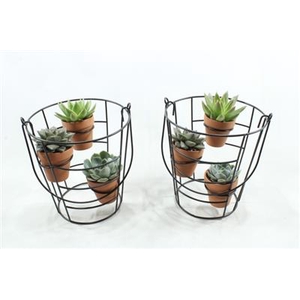 0129 Black Rek T.c Potjes