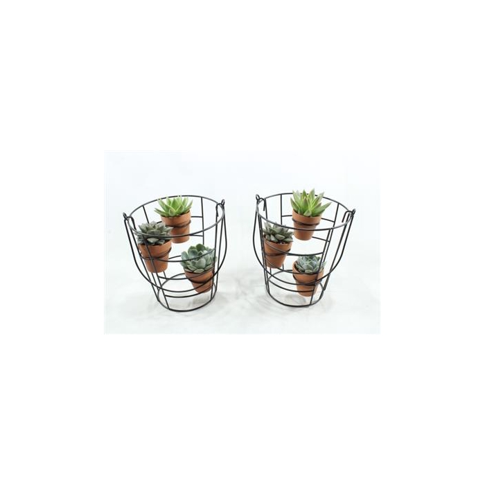 <h4>0129 BLACK REK T.C POTJES</h4>