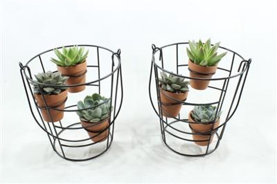 <h4>0129 Black Rek T.c Potjes</h4>