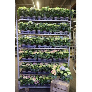 Hydr M Gem 2 Kleuren