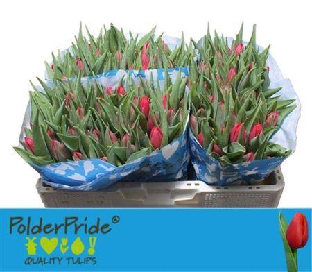 <h4>Tu En First Date</h4>