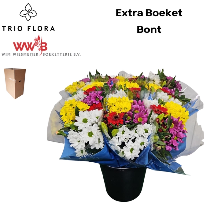 <h4>Boeket Extra Aqua Box Bont</h4>