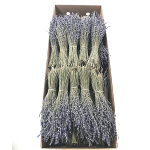 Dr Lavandula Dried Blue 80 Grams