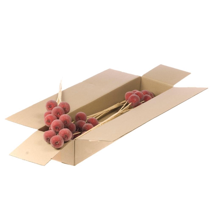 <h4>Apple Sug 5cm O/s Sb Red</h4>