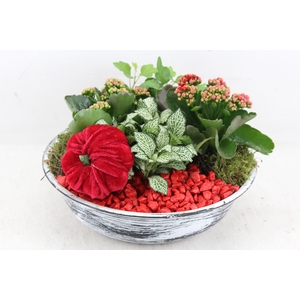 arr2 PL - Zink antiek schaal - rood