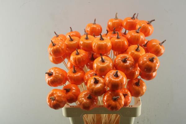 <h4>Deco Halloween Pompoen</h4>