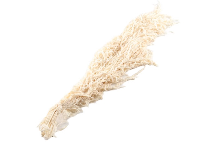 <h4>Amaranthus Caudatus White Bleached</h4>