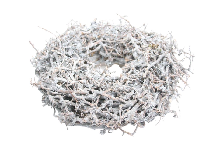 <h4>Wr Bonsai Wildly 30cm Frosted</h4>