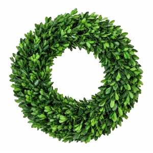 Wreath Buxus Preserved