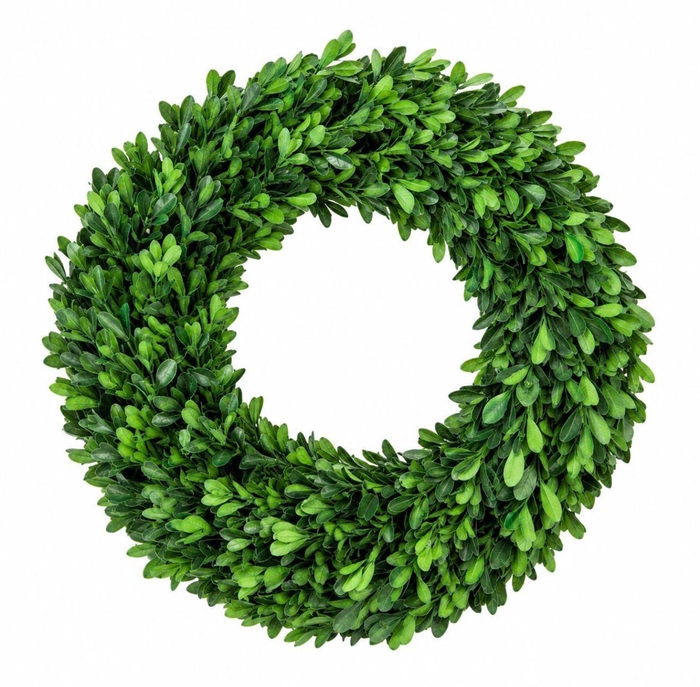 <h4>Wreath Buxus Preserved</h4>