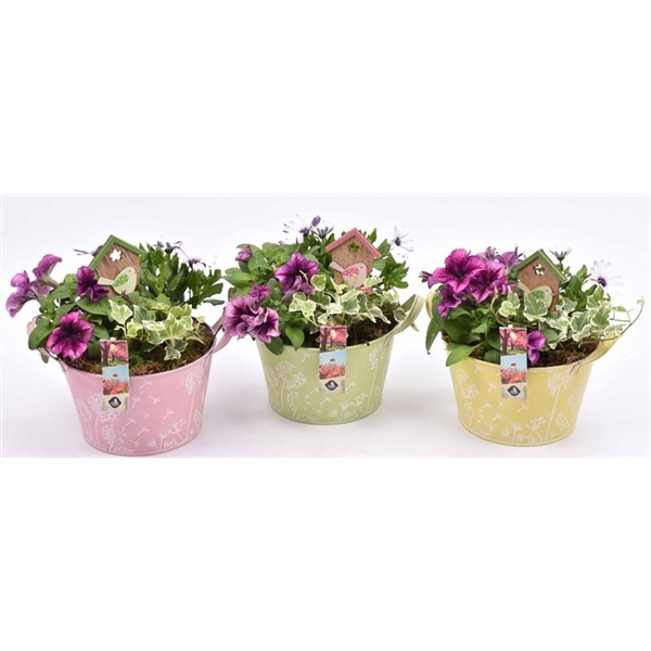 <h4>Zink teil bloemdecor kl.mix 18cm</h4>