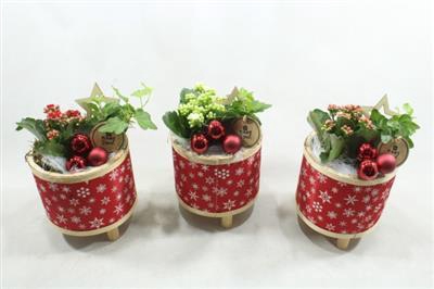 <h4>6991 KER POT ROOD</h4>