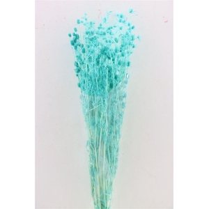 Pres Eryngium Mini Baby Blue Bunch