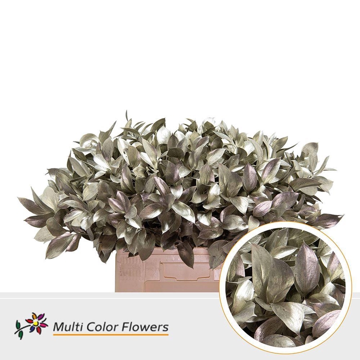 <h4>Ruscus   ...colored H%</h4>
