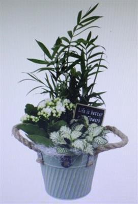 <h4>1178 X-MAS RD/GR</h4>