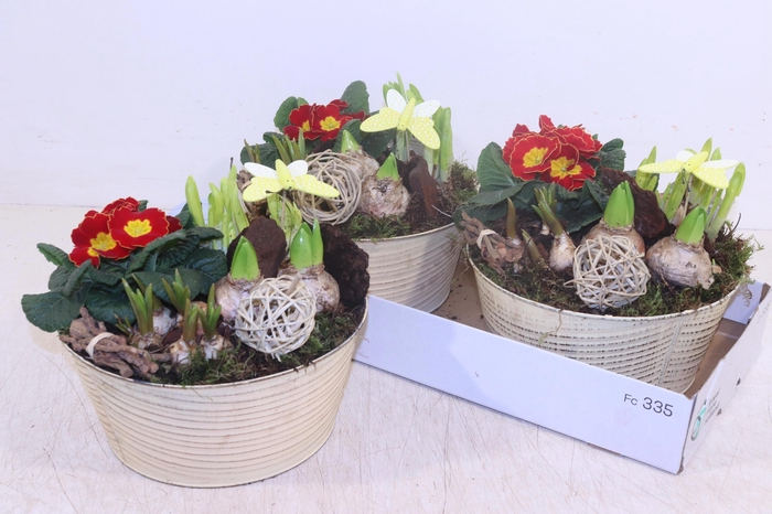 <h4>ARR TUINPLANTEN</h4>